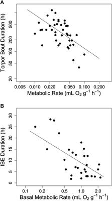 Hypothesis and Theory: A Two-Process Model of Torpor-Arousal Regulation in Hibernators